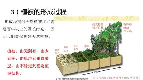 植被 意思